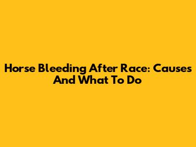 Horse Bleeding After Race: Causes And What To Do