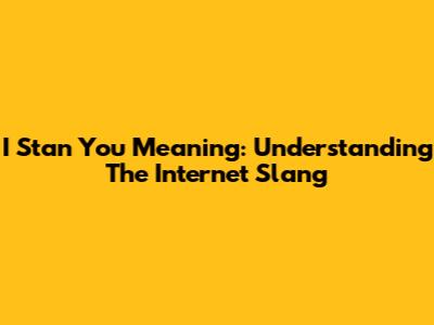 I Stan You Meaning: Understanding The Internet Slang