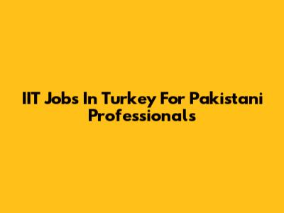 IIT Jobs In Turkey For Pakistani Professionals