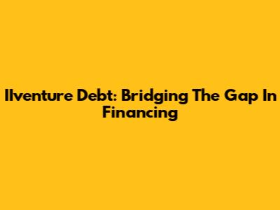 IIventure Debt: Bridging The Gap In Financing