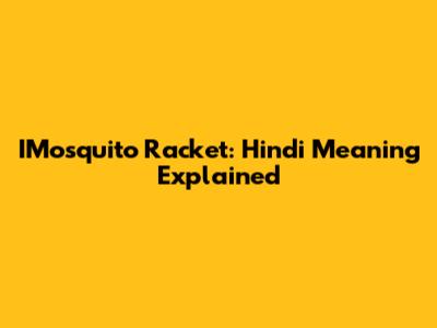IMosquito Racket: Hindi Meaning Explained