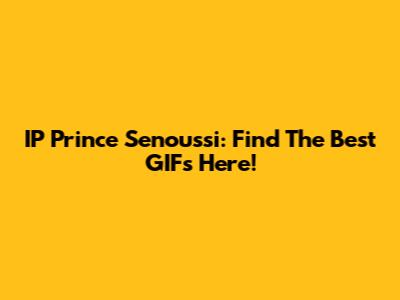 IP Prince Senoussi: Find The Best GIFs Here!