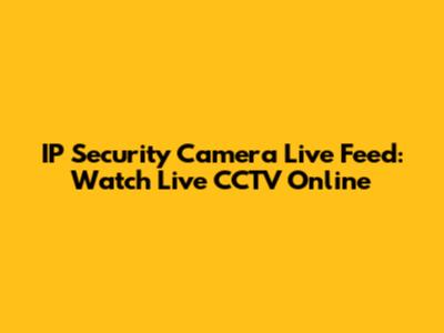 IP Security Camera Live Feed: Watch Live CCTV Online