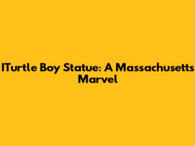 ITurtle Boy Statue: A Massachusetts Marvel