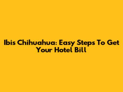 Ibis Chihuahua: Easy Steps To Get Your Hotel Bill