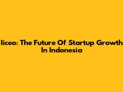 Iiceo: The Future Of Startup Growth In Indonesia