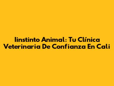Iinstinto Animal: Tu Clínica Veterinaria De Confianza En Cali