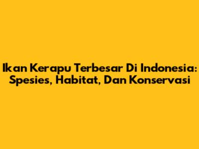 Ikan Kerapu Terbesar Di Indonesia: Spesies, Habitat, Dan Konservasi