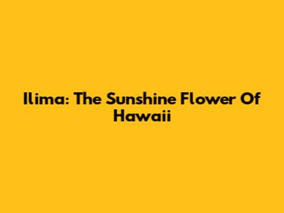 Ilima: The Sunshine Flower Of Hawaii
