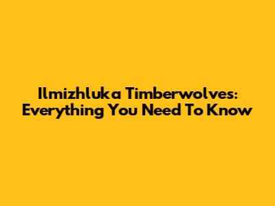 Ilmizhluka Timberwolves: Everything You Need To Know