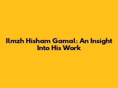 Ilmzh Hisham Gamal: An Insight Into His Work