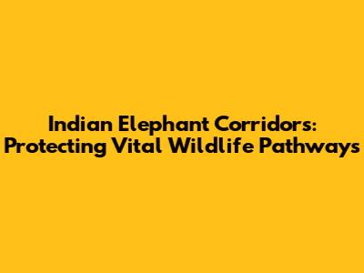 Indian Elephant Corridors: Protecting Vital Wildlife Pathways