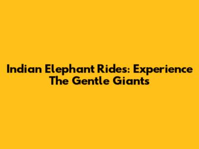 Indian Elephant Rides: Experience The Gentle Giants