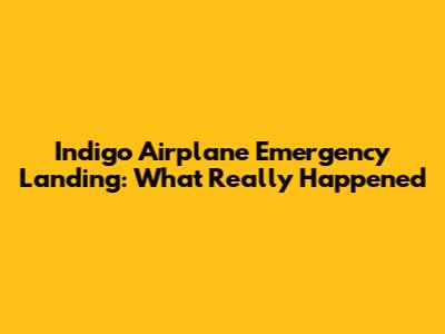 Indigo Airplane Emergency Landing: What Really Happened