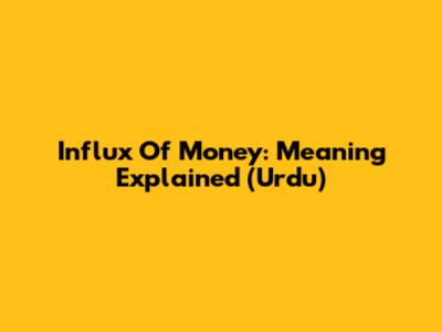 Influx Of Money: Meaning Explained (Urdu)
