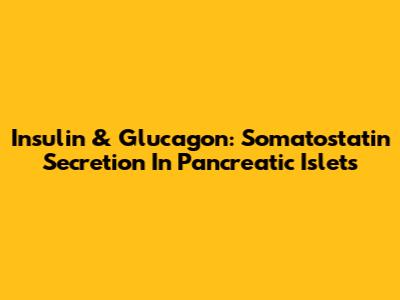 Insulin & Glucagon: Somatostatin Secretion In Pancreatic Islets