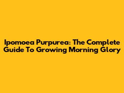 Ipomoea Purpurea: The Complete Guide To Growing Morning Glory