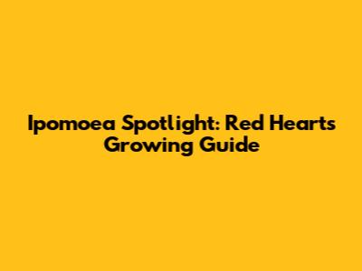 Ipomoea Spotlight: Red Heart's Growing Guide