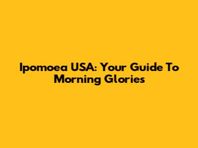 Ipomoea USA: Your Guide To Morning Glories