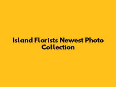 Island Florist's Newest Photo Collection