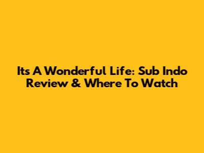 It's A Wonderful Life: Sub Indo Review & Where To Watch