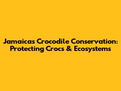 Jamaica's Crocodile Conservation: Protecting Crocs & Ecosystems
