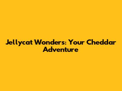 Jellycat Wonders: Your Cheddar Adventure