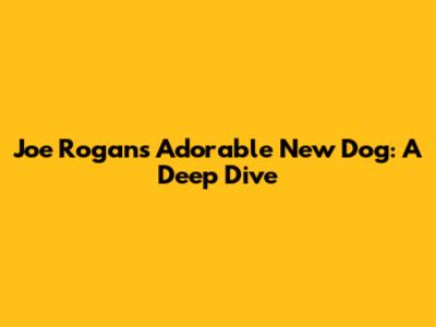 Joe Rogan's Adorable New Dog: A Deep Dive