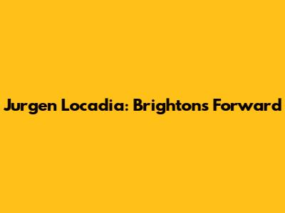 Jurgen Locadia: Brighton's Forward
