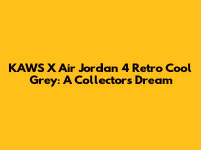 KAWS X Air Jordan 4 Retro Cool Grey: A Collector's Dream