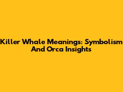 Killer Whale Meanings: Symbolism And Orca Insights
