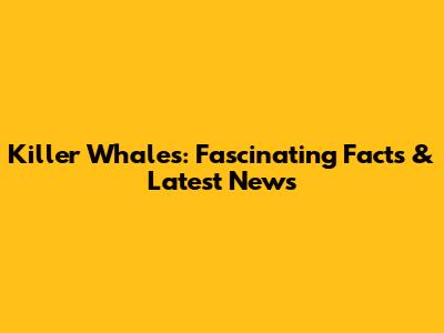 Killer Whales: Fascinating Facts & Latest News