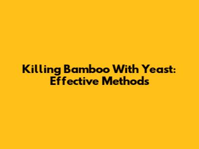Killing Bamboo With Yeast: Effective Methods