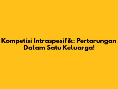 Kompetisi Intraspesifik: Pertarungan Dalam Satu Keluarga!