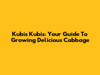 Kubis Kubis: Your Guide To Growing Delicious Cabbage