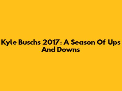 Kyle Busch's 2017: A Season Of Ups And Downs