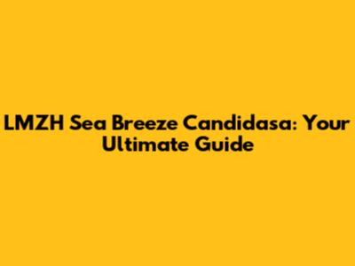 LMZH Sea Breeze Candidasa: Your Ultimate Guide