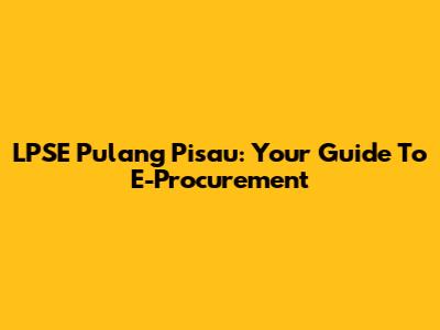 LPSE Pulang Pisau: Your Guide To E-Procurement
