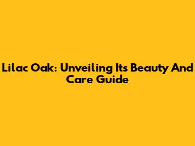 Lilac Oak: Unveiling Its Beauty And Care Guide