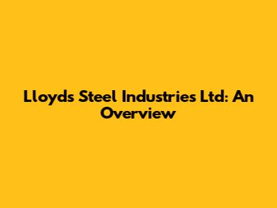 Lloyds Steel Industries Ltd: An Overview