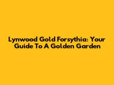Lynwood Gold Forsythia: Your Guide To A Golden Garden