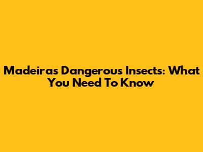 Madeira's Dangerous Insects: What You Need To Know