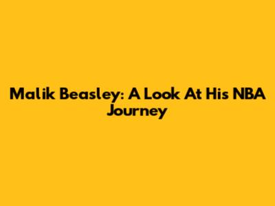 Malik Beasley: A Look At His NBA Journey