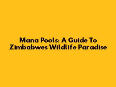 Mana Pools: A Guide To Zimbabwe's Wildlife Paradise
