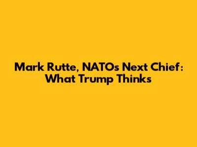 Mark Rutte, NATO's Next Chief: What Trump Thinks