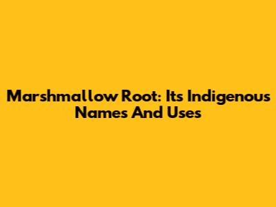 Marshmallow Root: Its Indigenous Names And Uses