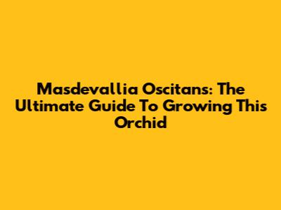 Masdevallia Oscitans: The Ultimate Guide To Growing This Orchid