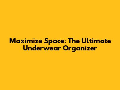 Maximize Space: The Ultimate Underwear Organizer