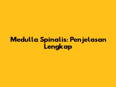 Medulla Spinalis: Penjelasan Lengkap
