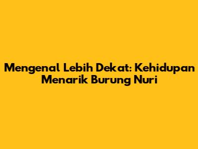 Mengenal Lebih Dekat: Kehidupan Menarik Burung Nuri